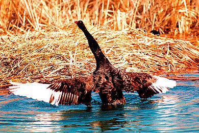 开发商People Can Fly取消两个项目并开启新一轮裁员