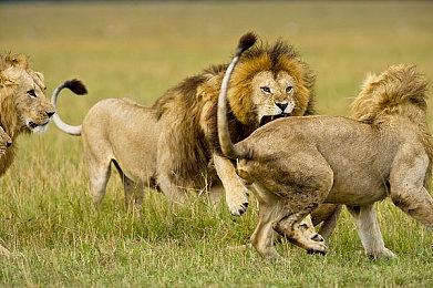 《GTA 3》等游戏的独占协议是索尼应对Xbox的策略